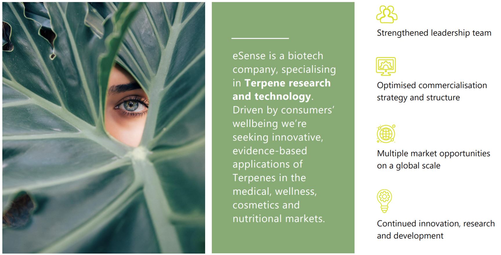 Photo of eSense-Lab eyes new commercialisation opportunities for unique plant-profiling technology