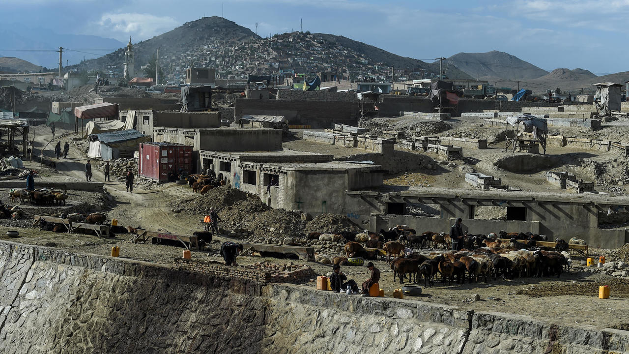 Photo of Taliban announce three-day ceasefire in Afghanistan for Eid al-Adha