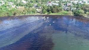 Photo of Lessons for Africa from devastating Mauritius oil spill